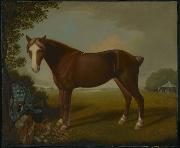 unknow artist Portrait of a Horse USA oil painting artist